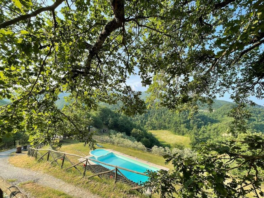 Apartamento Il Colle - Pino Florencia