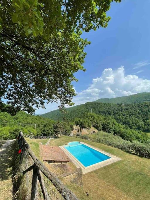 Apartamento Il Colle - Pino *